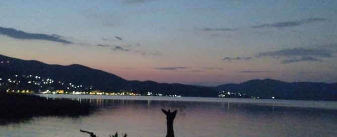 Дрво во вид на ангел чувар